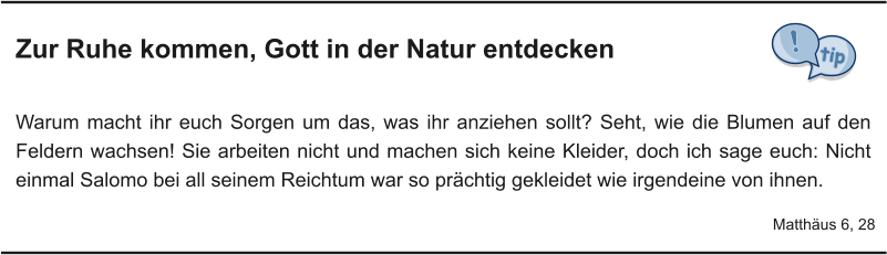 Zur Ruhe kommen, Gott in der Natur entdecken