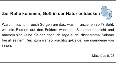 Zur Ruhe kommen, Gott in der Natur entdecken