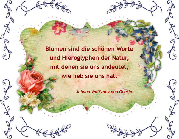 Johann Wolfgang von Goethe